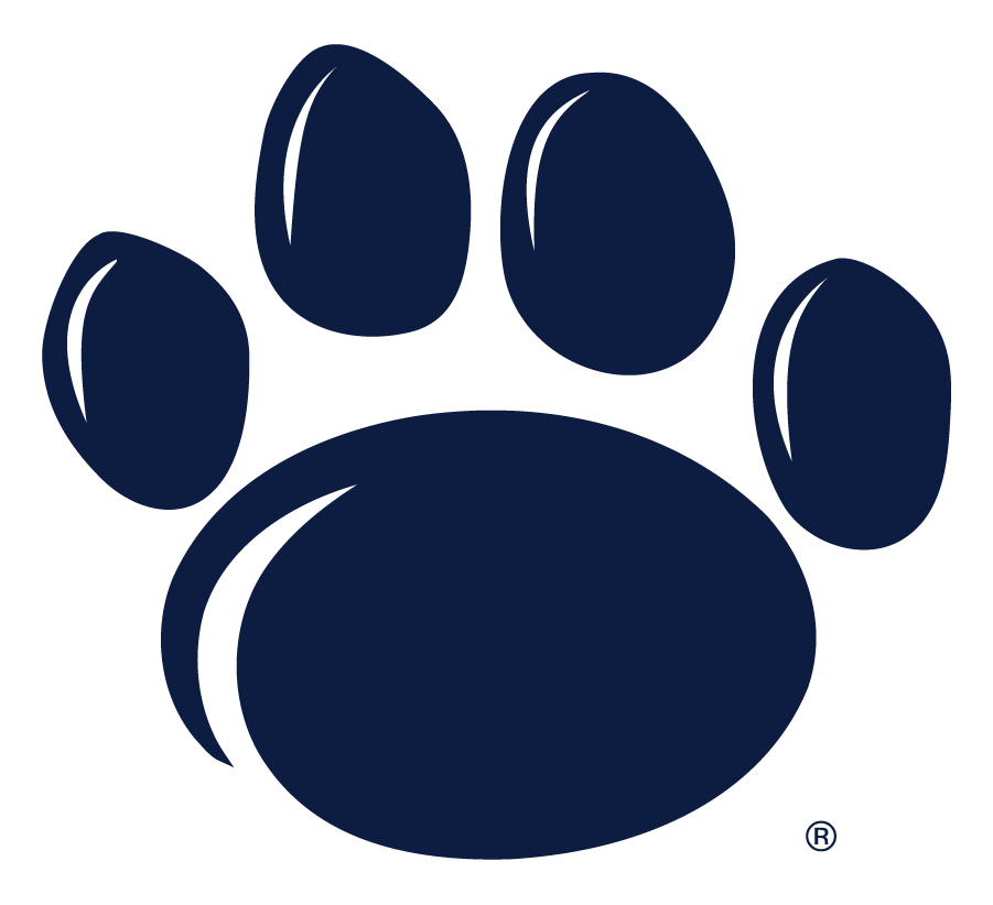 Penn State Nittany Lions 2005-Pres Secondary Logo diy DTF decal sticker